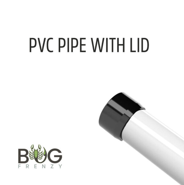 PVC Pipe with lid for false bottom