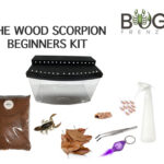 Mallee Wood Scorpion Kit Image