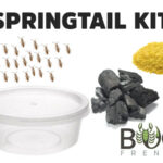 Springtail Kit Image