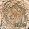 Springtails