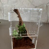 The Bug Box with optional kit - Image 7