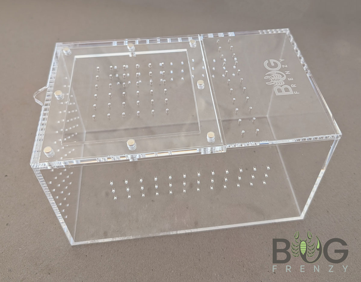 The Original Bug Box with optional kit - Image 2