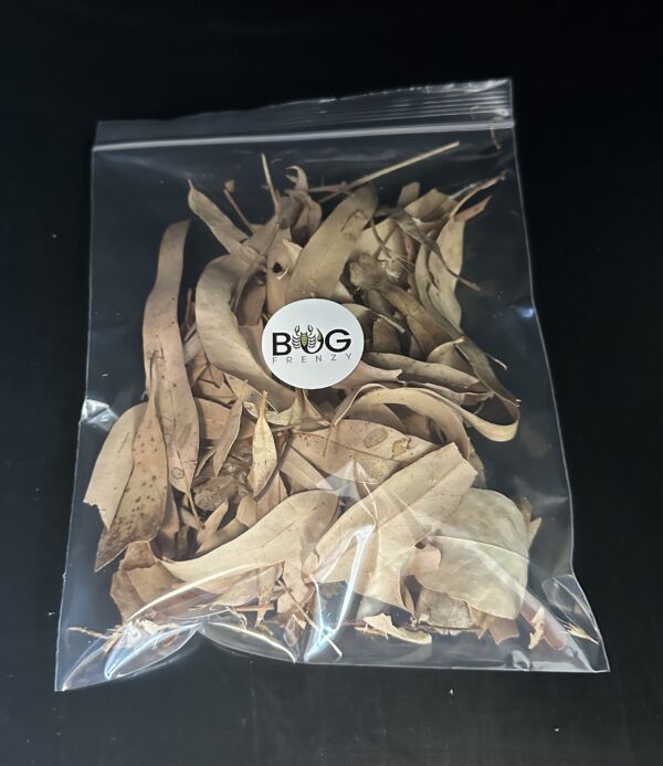 Eucalyptus leaves - dried 50g