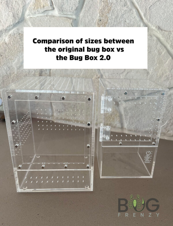 The Bug Box 2.0 - Image 4