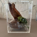 The Bug Box 2.0 - LARGE The Bug Box 2.0 - LARGE Image