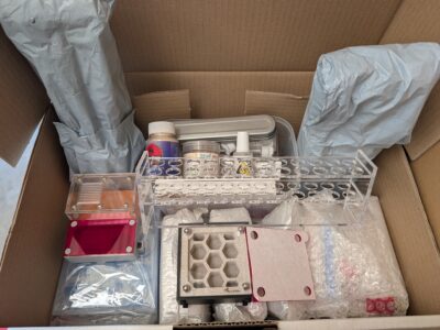 Ant accessory Mystery Box