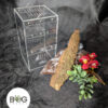 The Little Bug Box with optional kit - SMALL