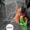The Original Bug Box - MEDIUM