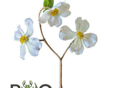 Artificial Dogwood flowers (3)