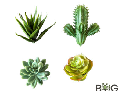 Desert Plants - Four faux plants