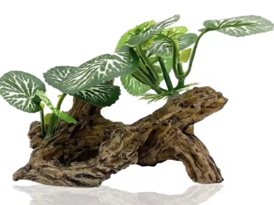 Rocky hide with plants