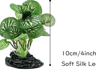 Silk Leaf plants mounted on rock