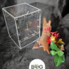 The Bug Box 2.0 - LARGE