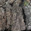 Cork Bark