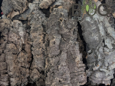 Cork Bark