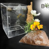 Large Bug Box with kit and Servaea incana