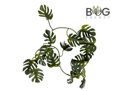 Faux mini monstera vine