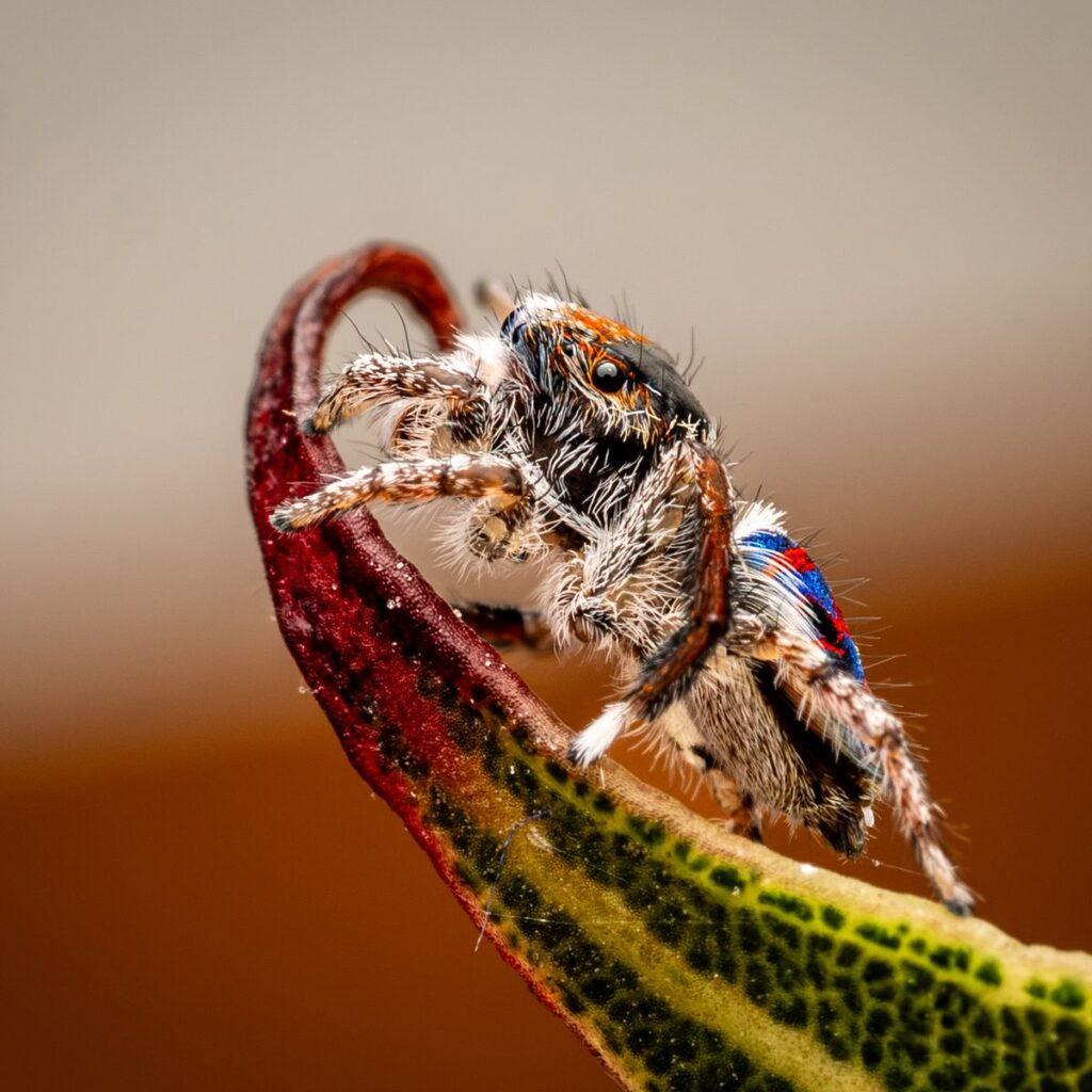 Image #1 from Colin Cook